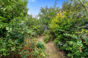 Photo 9- click for photo gallery